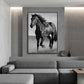 Dark Horse Canvas Painting