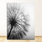 Frameless Abstract Dandelion Canvas Painting